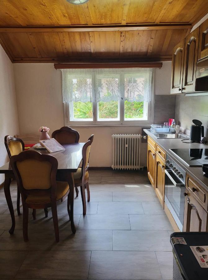 Ela Vital Ferienwohnung St. Blasien Exteriér fotografie