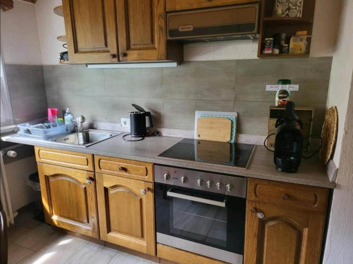 Ela Vital Ferienwohnung St. Blasien Exteriér fotografie